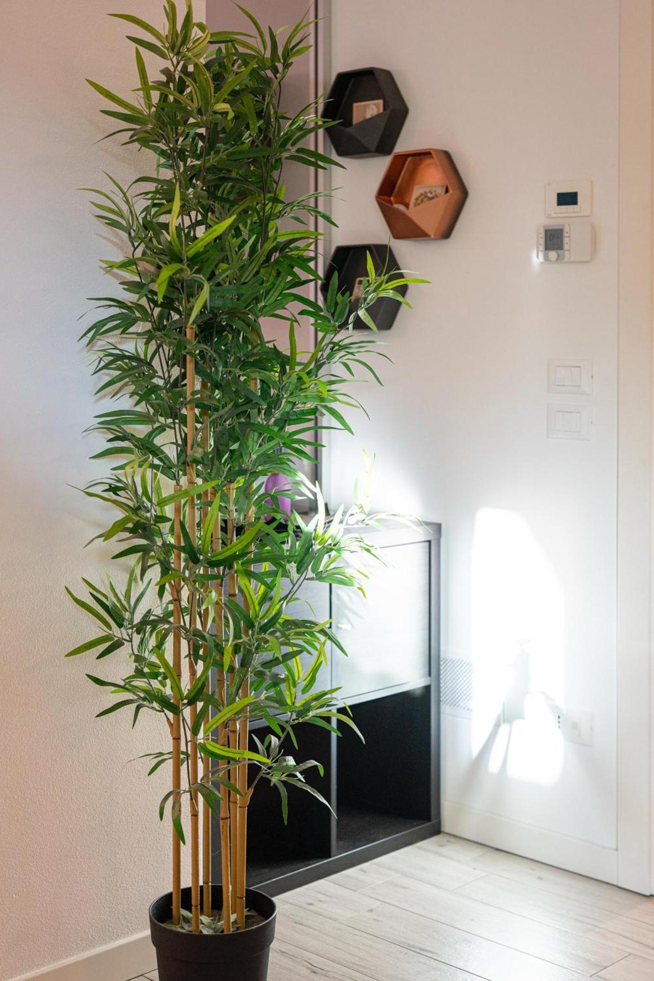 Vera Home 鲁比科内河畔萨维纳诺 外观 照片